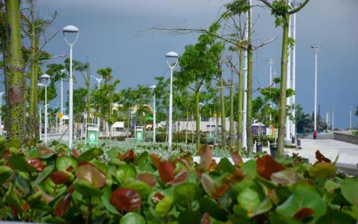 A A CURRAMBA VERDE
