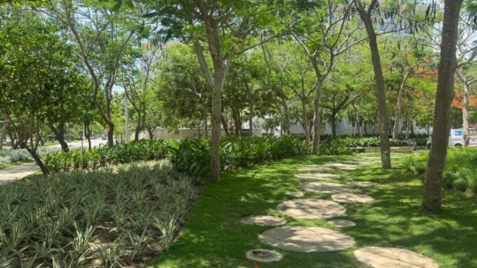 A A A BONITO PARQUE