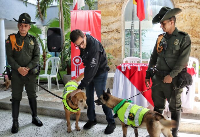 A A A DIA DEL PERRO