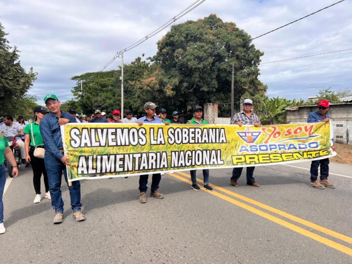 A A AARROCEROS