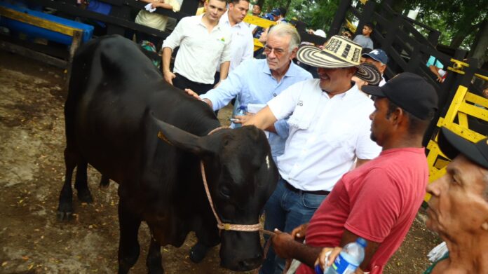 AA A AVAQUITAS