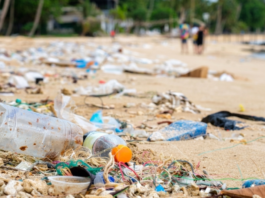 Científicos de Uniatlántico crean método que rastrea residuos plásticos hasta el fabricante