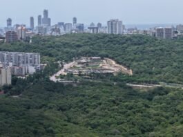 ONU certifica a Barranquilla por recuperación y conservación de ecosistemas