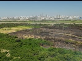 Barranquilla supera otro incendio en Parque Isla Salamanca