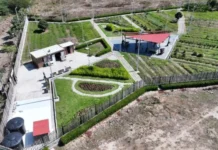 Sigue abierta convocatoria para red de huerteros urbanos