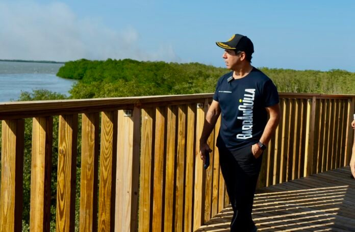 A A A BARRANQUILLA ALEX EN MALLORQUIN