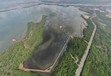 Ecoparque Ciénaga de Mallorquín recibe Premio Nacional de Arquitectura y Urbanismo 2026