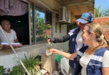 Ante la mosquitera, Distrito interviene 15.230 viviendas