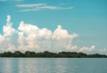 Conservando el Caribe: una solución privada para un reto global